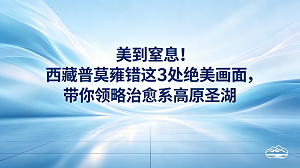 在西藏山南巍峨的群山中间,有一个被人们唤作仙女之泪的高原湖泊。这个美丽的地方叫作普莫雍错,湖面海拔大概有五千零一十米。在八月下旬的宁静时光里,这片圣湖展现出了极其壮美的一面。清澈的湖水宛如一面巨大的镜子,在四周连绵雪山的环抱之中,折射出深邃而神秘的光芒。很多去过那里的行者都说,这里的风景是一抹洗涤心灵的纯净色彩。看着那些定格在镜头里的绝美画面,你会发现这里的山水草木,都在讲述着雪域高原的安详。